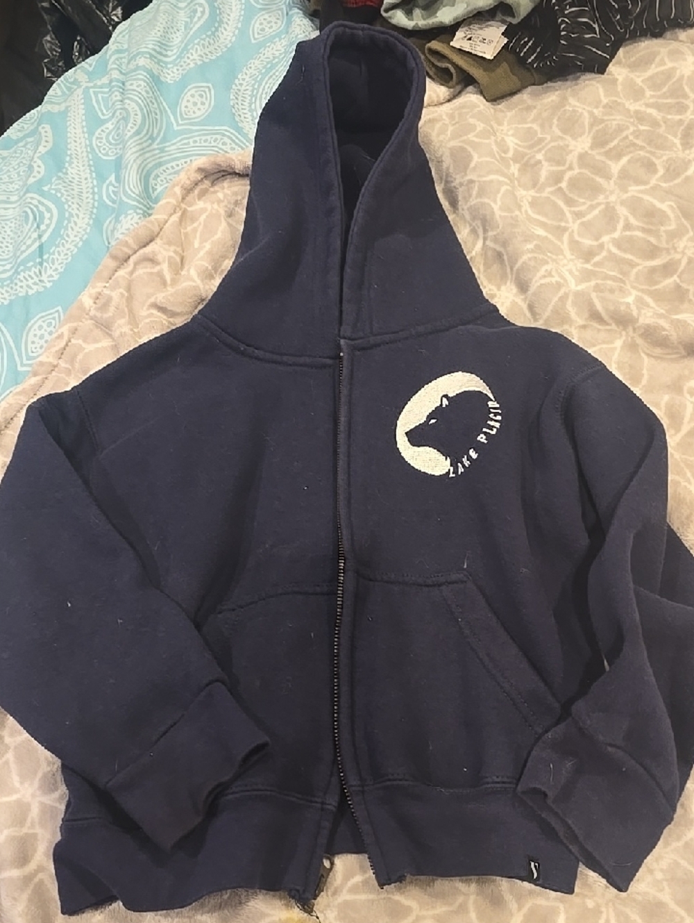 ❤️5/$25 Kids Navy Bear Graphic Zip Hoodie Lake Placid